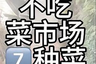 开云app官网入口手机版苹果版截图3